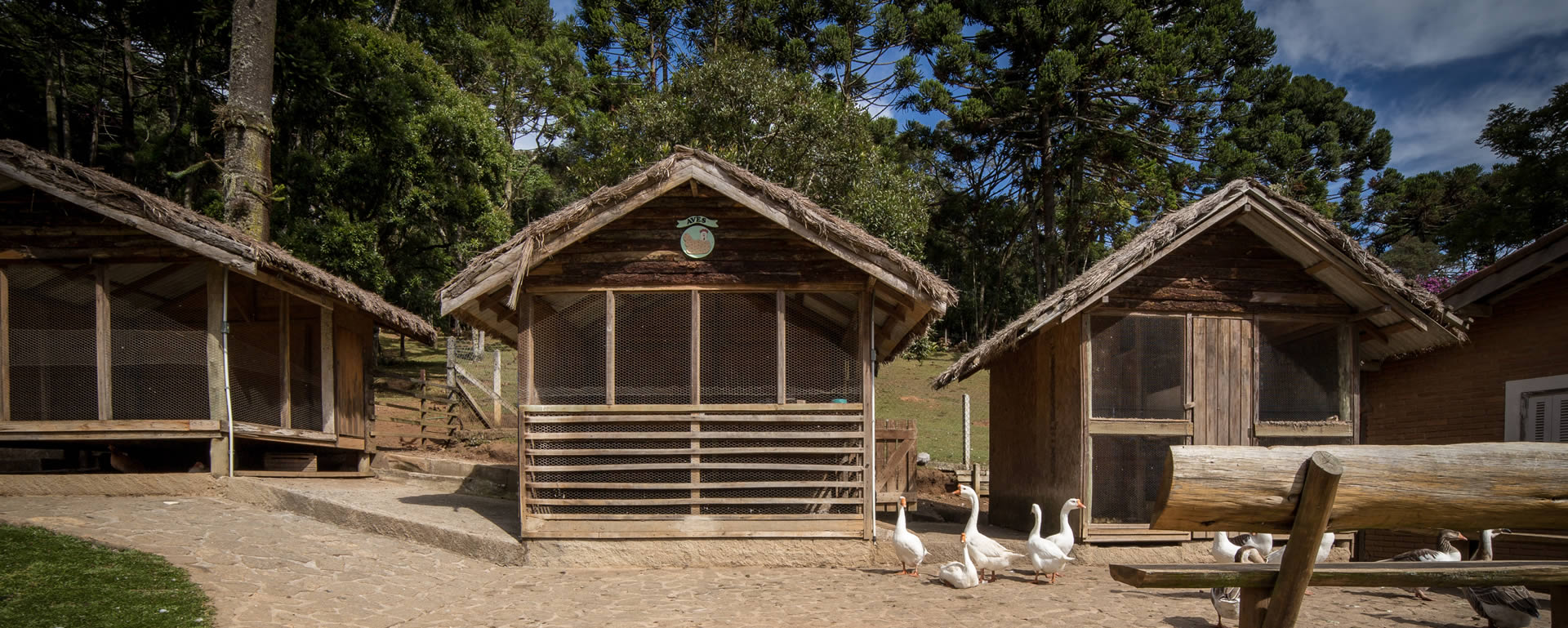 lazer-toriba-9_hotel_em_campos_do_jordao